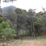 Puente colgante en Centro Ecoturístico Tulimán. Marzo/2014