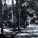 Plaza y Zocalo