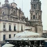 Mercado de las Flores por HUGO BREHME