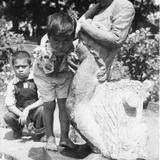 Fuente parque Revolucion