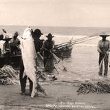 Pescadores por HUGO BREHME