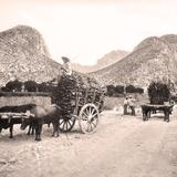 Monterrey, Cañón de Santa Catarina