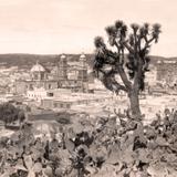 Zacatecas, vista panorámica