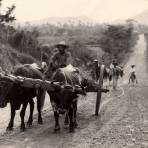 Carretera antigua en México