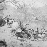 Camino en la Barranca de Oblatos (por William Henry Jackson, c. 1887)