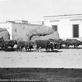 Carreta de bueyes en Guadalajara (por William Henry Jackson, c. 1887)