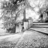 Subida al Sacromonte (por William Henry Jackson, c. 1888)