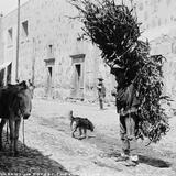 Cargador en una calle de San Luis Potosí (por William Henry Jackson, c. 1888)