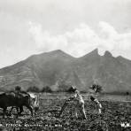 Cerro de la Silla