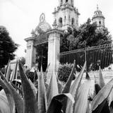 Catedral de Morelia