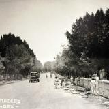 CALZADA MADERO