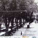 ALAMEDA DE LEON PANORAMA