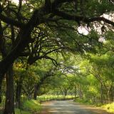 POR LOS CAMINOS DE SANTIAGO