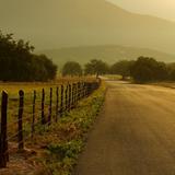 POR LOS CAMINOS DE SANTIAGO