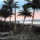 PALMERASDE PUNTA GORDA