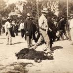 Muerto frente al Palacio Nacional, durante la Decena Trágica (1913)