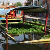 Canales de Xochimilco