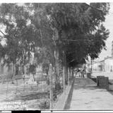 Calle Guanajuato