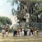 Cargadores junto al Arbol de la noche triste Mexico D F