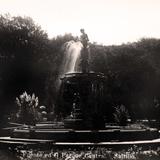 Fuente de el Parque Central