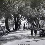 El Zocalo de Oaxaca