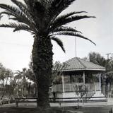 Kiosko y Jardin