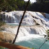 Cascadas de Agua Azul