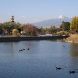 Parque Ecologico Revolución Mexicana. Marzo/2016