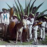 Tipos Mexicanos Sacando Pulque de una hacienda Por C Boullanger