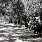 Parque Juarez.