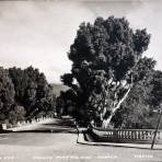 Puente de Porfirio Diaz.