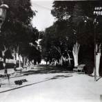 Jardin publico.