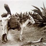Tipos Mexicanos tipico tlachiquero Por el Fotógrafo Hugo Brehme. .