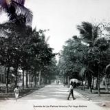 Avenida de Las Palmas Veracruz Por el fotografo Hugo Brehme.