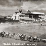 Hipódromo de Agua Caliente