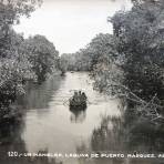 Un Manglar Laguna de Puerto Marquez.