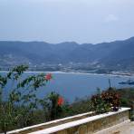 Vista de la bahía (1954)