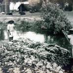 Canal de Ixtacalco Ciudad de México  por el Fotógrafo Hugo Brehme.