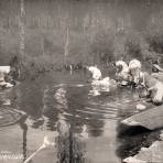 Lavanderas en los canales de Xochimilco por el Fotógrafo Hugo Brehme