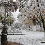 Plaza de la Constitución, Meoqui Chihuahua.