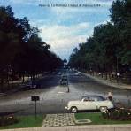 Paseo de La Reforma Ciudad de México 1954