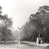 Paseo de la Reforma, hacia Chapultepec