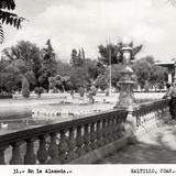 Alameda de Saltillo