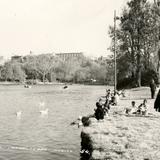 Ciudad de México, Distrito Federal. . Castilly lago de Chapultepec